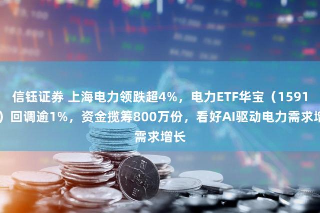 信钰证券 上海电力领跌超4%，电力ETF华宝（159146）回调逾1%，资金揽筹800万份，看好AI驱动电力需求增长