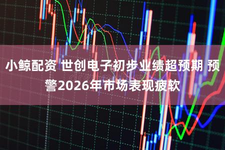 小鲸配资 世创电子初步业绩超预期 预警2026年市场表现疲软