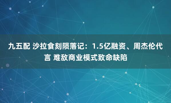 九五配 沙拉食刻陨落记：1.5亿融资、周杰伦代言 难敌商业模式致命缺陷