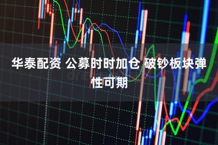 华泰配资 公募时时加仓 破钞板块弹性可期
