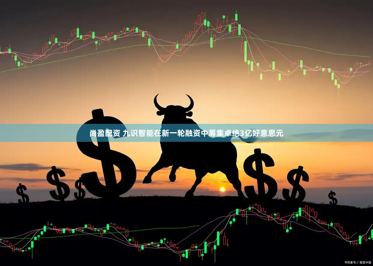 尚盈配资 九识智能在新一轮融资中筹集卓绝3亿好意思元