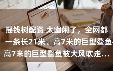 摇钱树配资 太幽闲了，全网都在“找鳌鱼”！一条长21米、高7米的巨型鳌鱼被大风吹走…