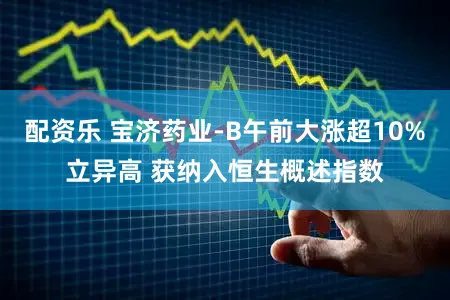 配资乐 宝济药业-B午前大涨超10%立异高 获纳入恒生概述指数