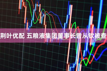 荆叶优配 五粮液集团董事长曾从钦被查