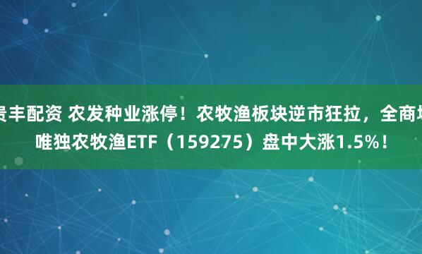 贵丰配资 农发种业涨停！农牧渔板块逆市狂拉，全商场唯独农牧渔ETF（159275）盘中大涨1.5%！
