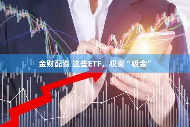 金财配资 这些ETF，权贵“吸金”