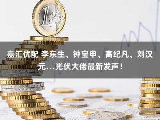 嘉汇优配 李东生、钟宝申、高纪凡、刘汉元…光伏大佬最新发声！