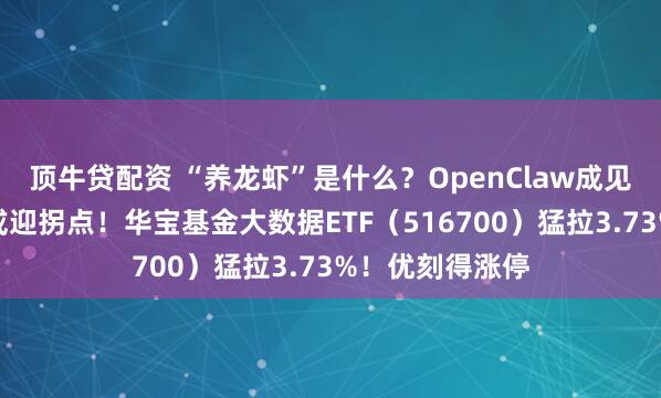 顶牛贷配资 “养龙虾”是什么？OpenClaw成见爆火，云计较或迎拐点！华宝基金大数据ETF（516700）猛拉3.73%！优刻得涨停