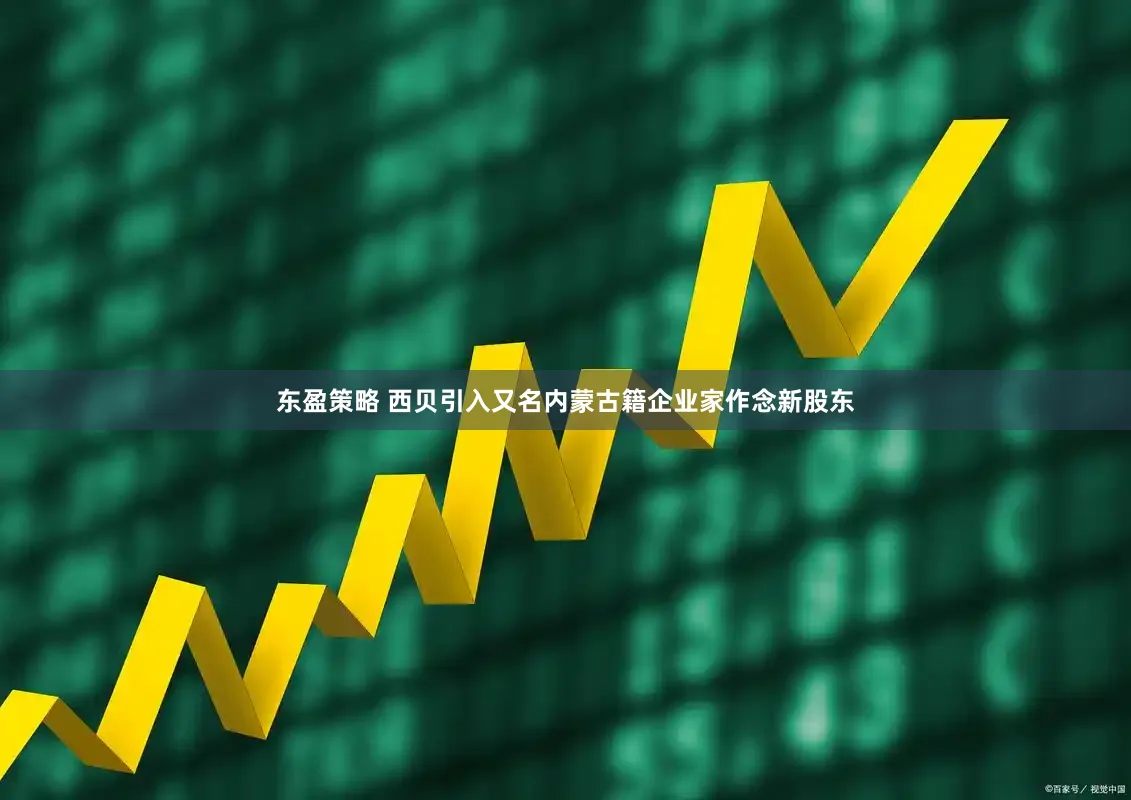 东盈策略 西贝引入又名内蒙古籍企业家作念新股东
