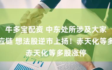牛多宝配资 中东处所涉及大家化肥供应链 想法股逆市上扬！赤天化等多股涨停
