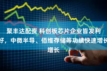 聚丰达配资 科创板芯片企业皆发利好，中微半导、佰维存储等功绩快速增长