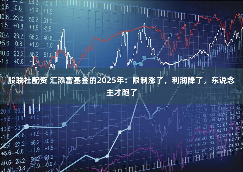 股联社配资 汇添富基金的2025年：限制涨了，利润降了，东说念主才跑了