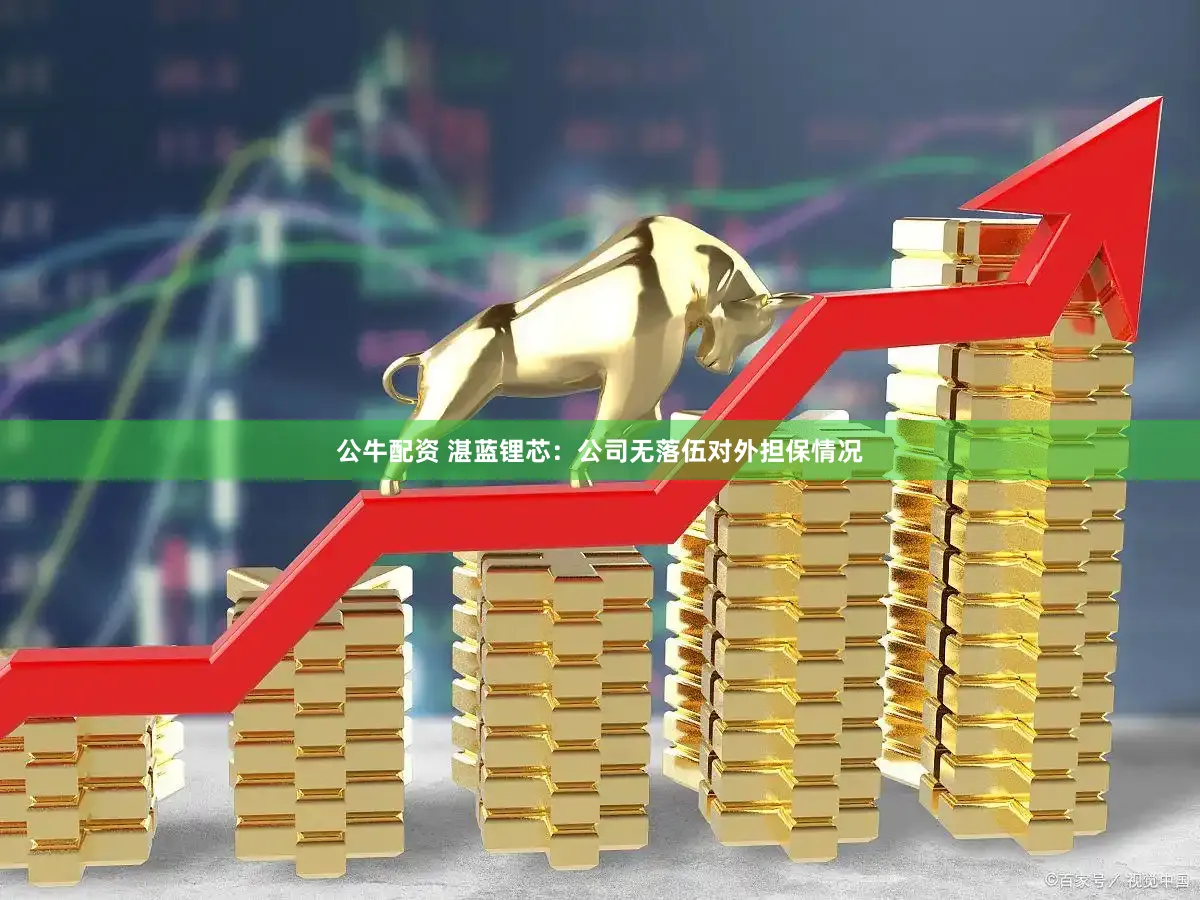 公牛配资 湛蓝锂芯：公司无落伍对外担保情况