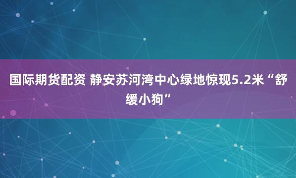 国际期货配资 静安苏河湾中心绿地惊现5.2米“舒缓小狗”