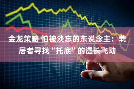 金龙策略 怕被淡忘的东说念主:茕居者寻找“托底”的漫长飞动