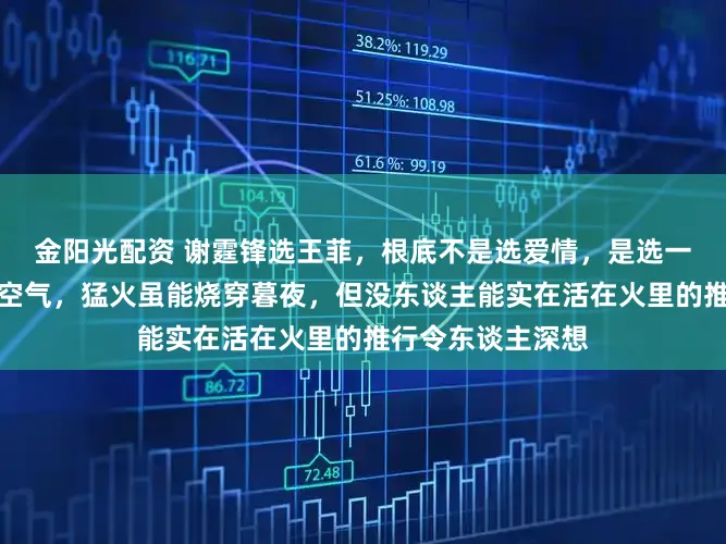 金阳光配资 谢霆锋选王菲，根底不是选爱情，是选一种透明而贫困的空气，猛火虽能烧穿暮夜，但没东谈主能实在活在火里的推行令东谈主深想